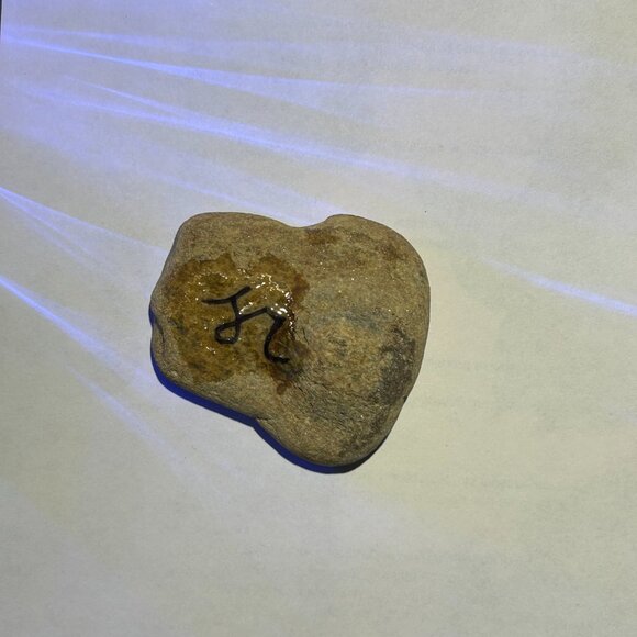 Hand Painted Turtle Beach Stone - Picture 3 of 4